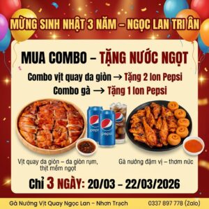  MỪNG SINH NHẬT 3 NĂM – NGỌC LAN